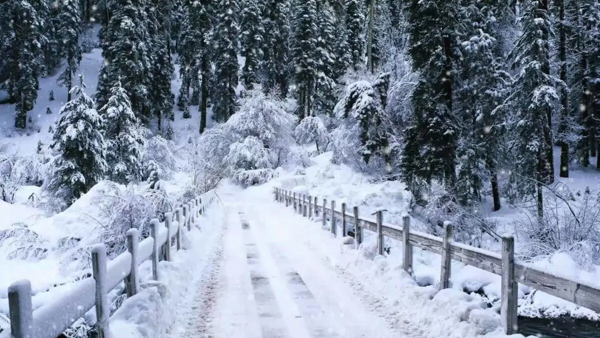 بارش شدید برف در شمال تهران + ویدیو
