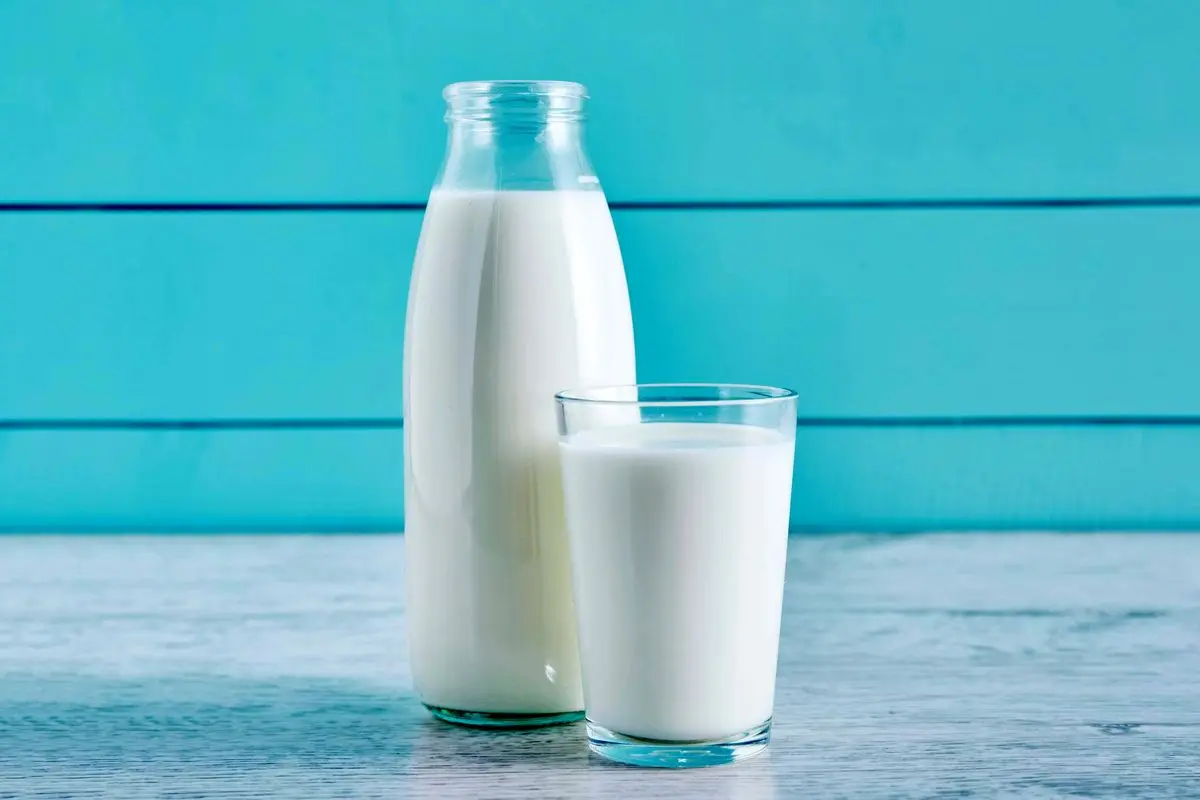 قبل از خواب یک لیوان شیر گرم بخورید