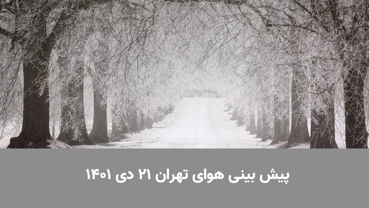 پیش بینی هوای تهران ۲۱ دی ۱۴۰۱ | برف به تهران رسید