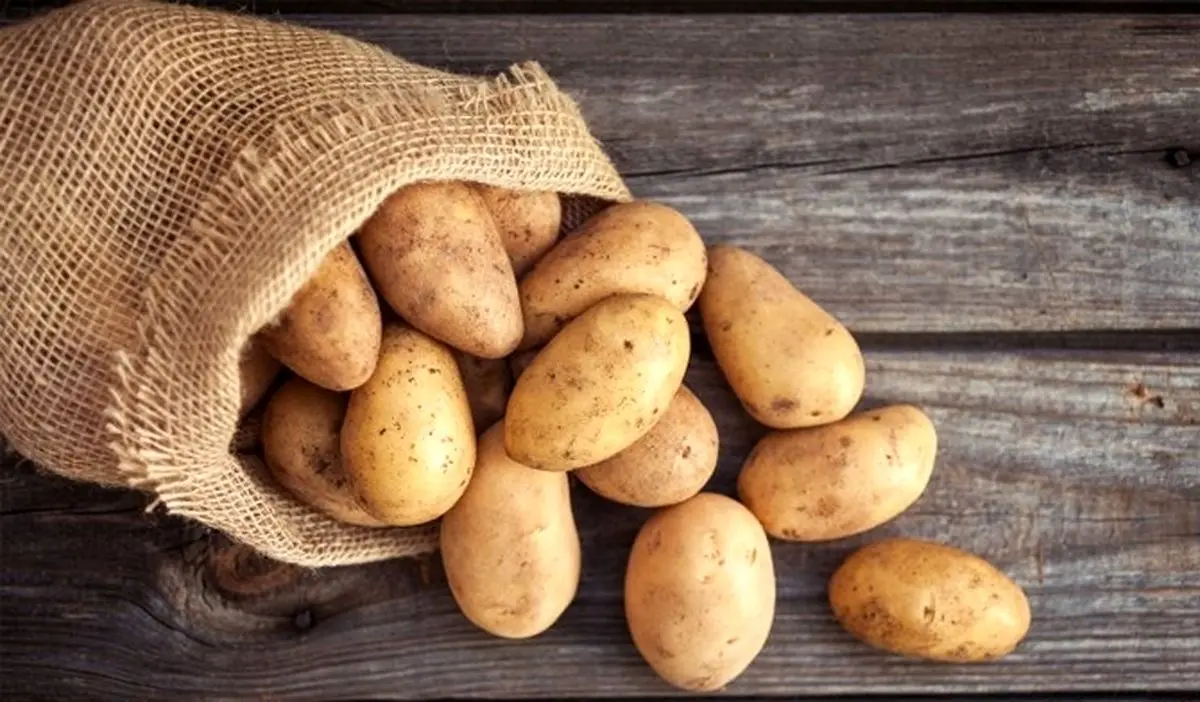 آیا سیب‌زمینی می‌تواند جایگزین غلات در رژیم سالم شود؟

