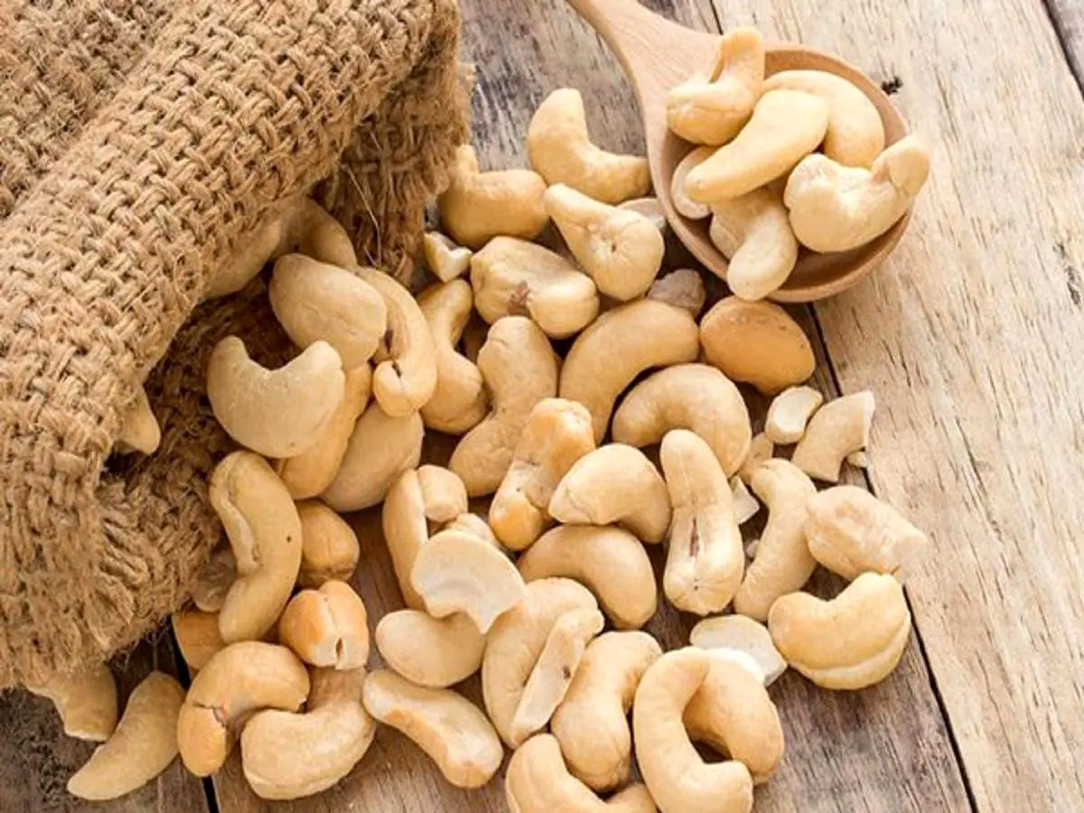 این مغز فواید اعجاب انگیزی دارد