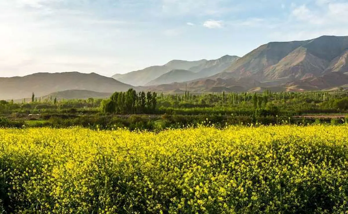 طبیعت بهاری نیشابور +تصاویر