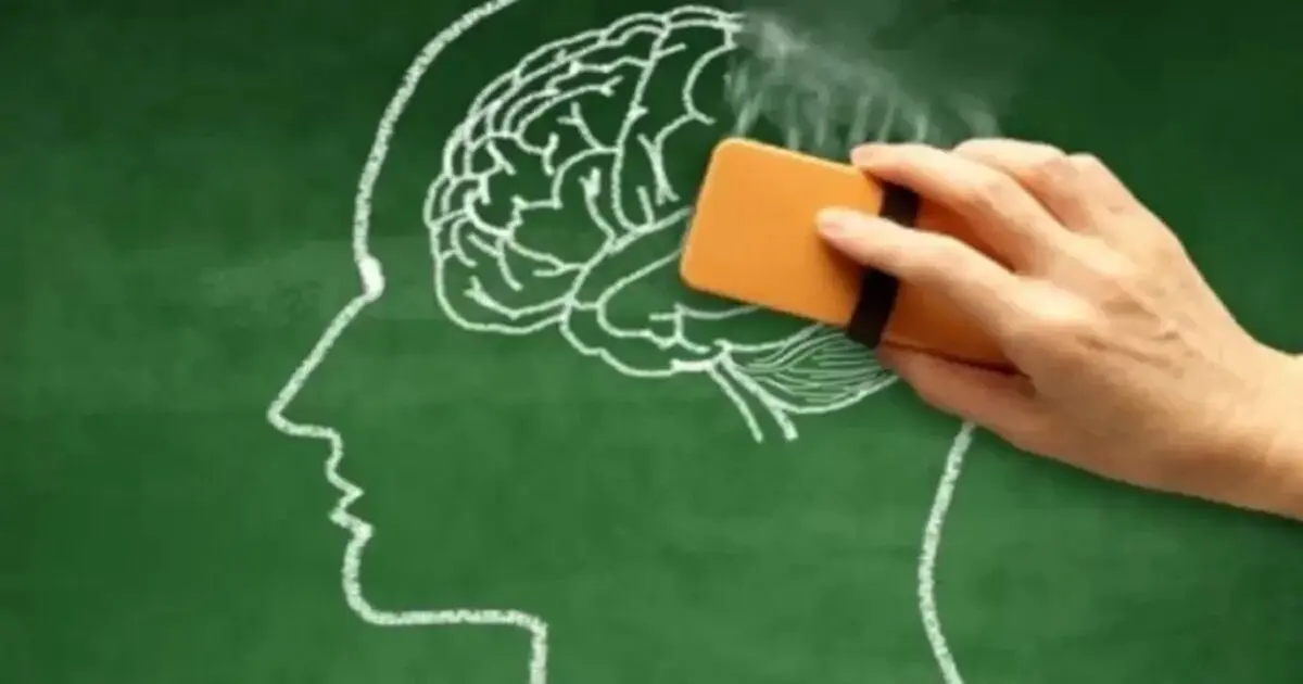 ترکیب طبیعی جدید برای پاکسازی مغز و مقابله با آلزایمر