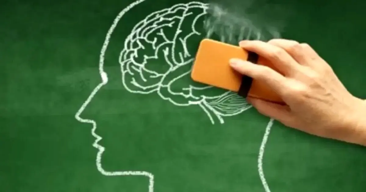 ترکیب طبیعی جدید برای پاکسازی مغز و مقابله با آلزایمر