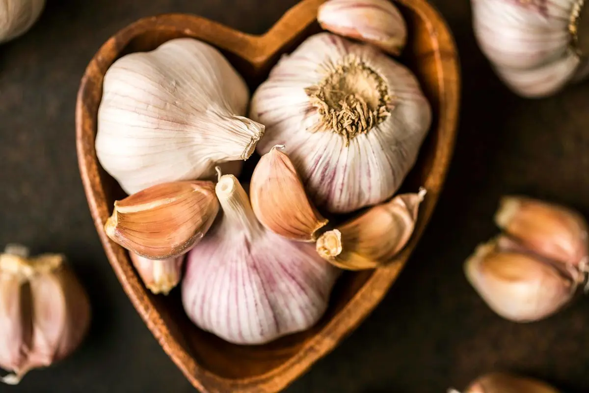 با این روش بوی بد سیر را از بین ببرید
