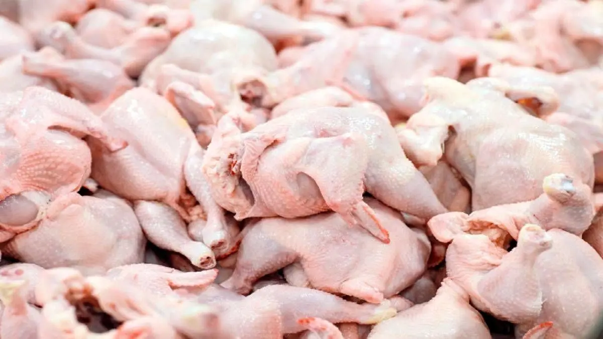 قیمت مرغ تغییر کرد | چرا مردم مرغ نسیه می‌خرند؟