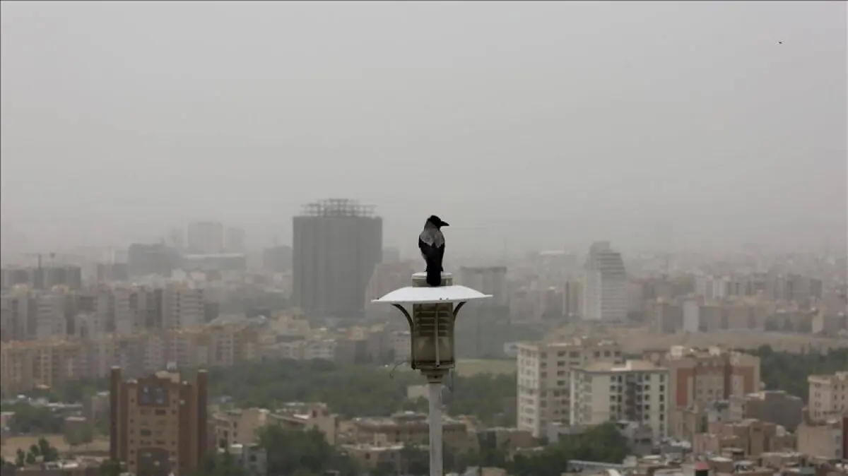 تهرانی ها در ۶ماه آینده هر روز این عکس را خواهند دید