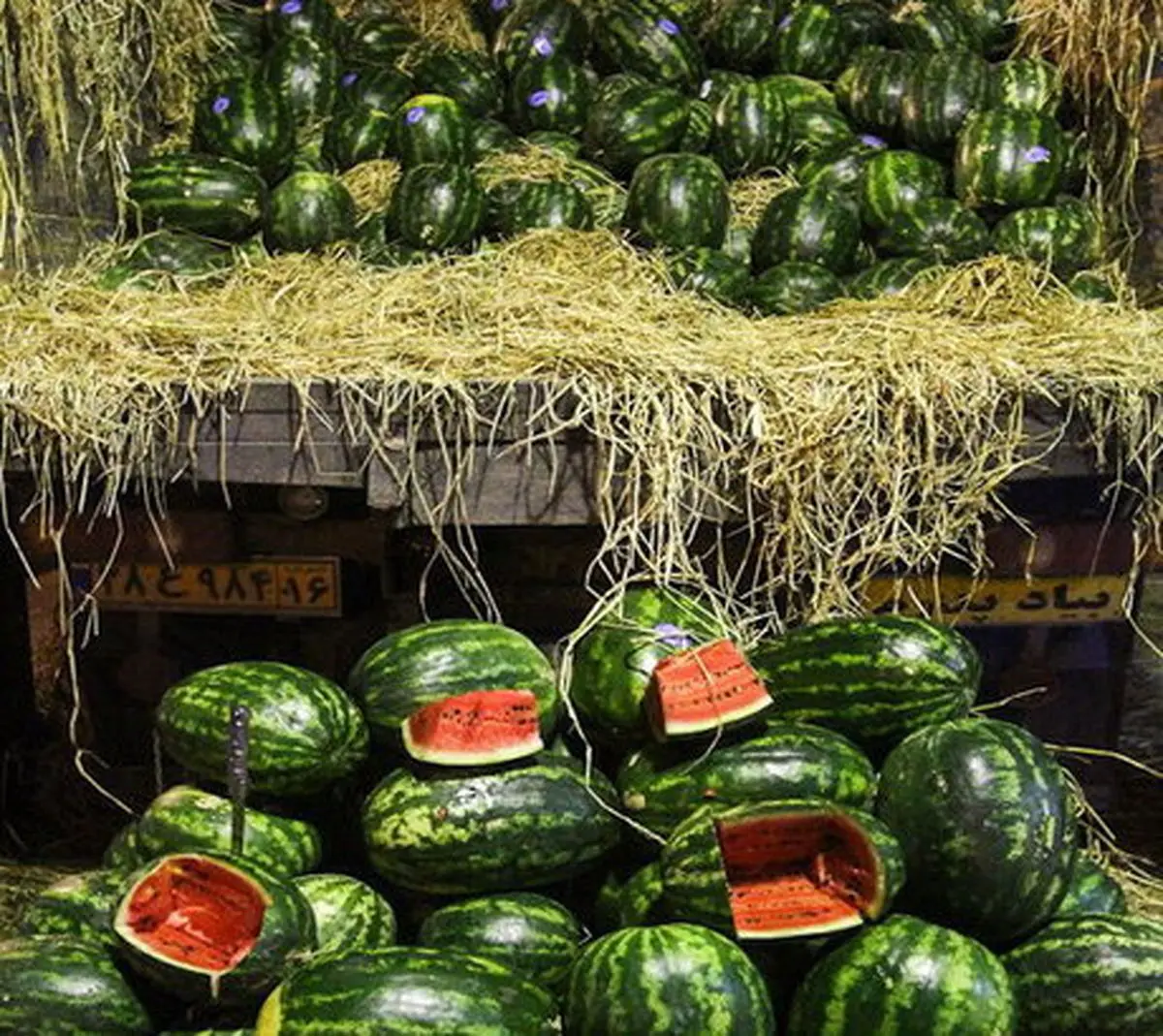 هندوانه ایرانی هیچ مشکلی ندارد