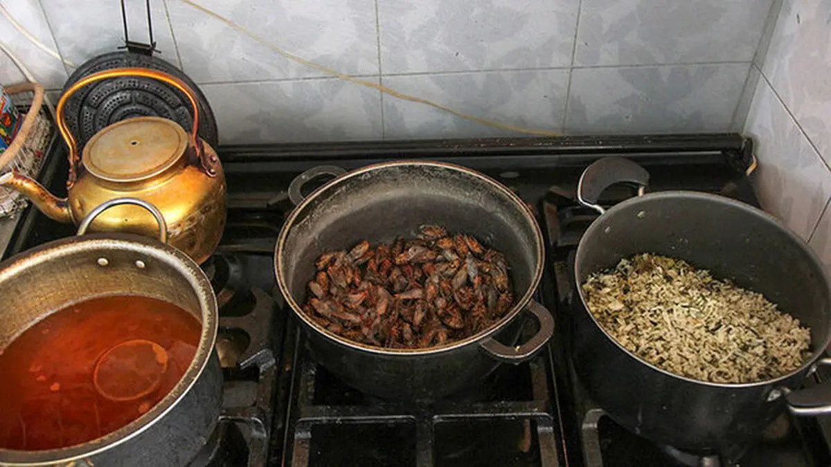 بفرمایید چلوخورشت "جیرجیرک" +تصاویر