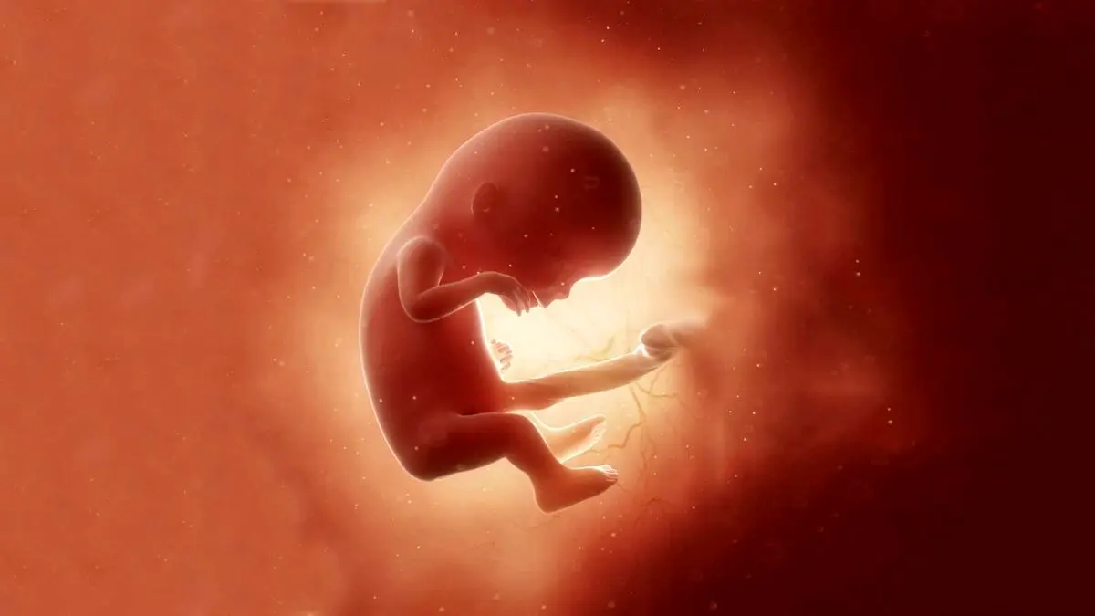 «سقط جنین» شانس باروری را کاهش می دهد