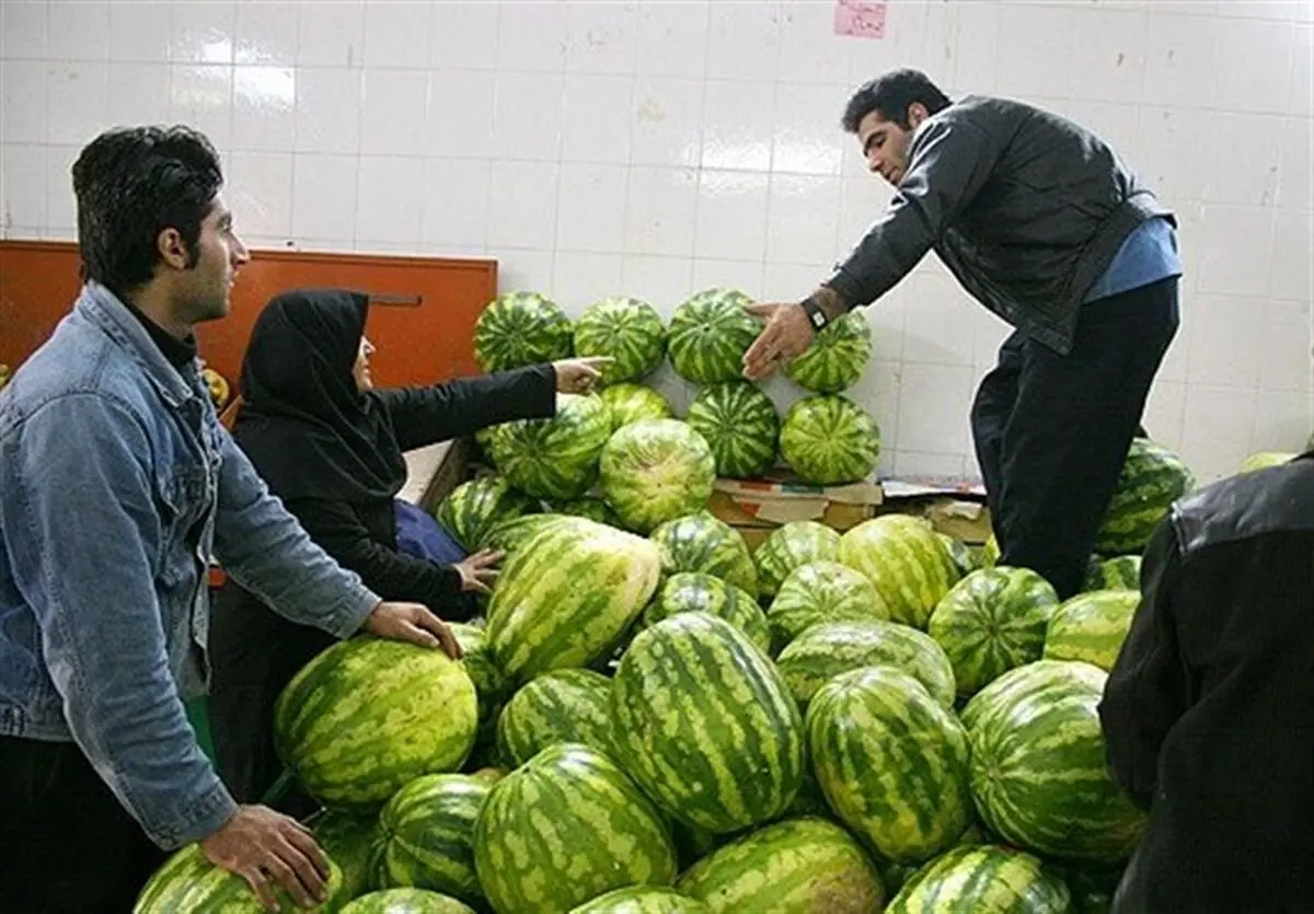 تصورات غلط است؛ هندوانه خیلی آب‎خور نیست