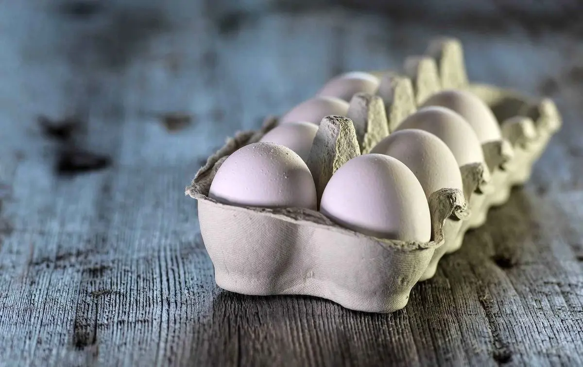مصرف تخم مرغ در بیماران قلبی مجاز است؟