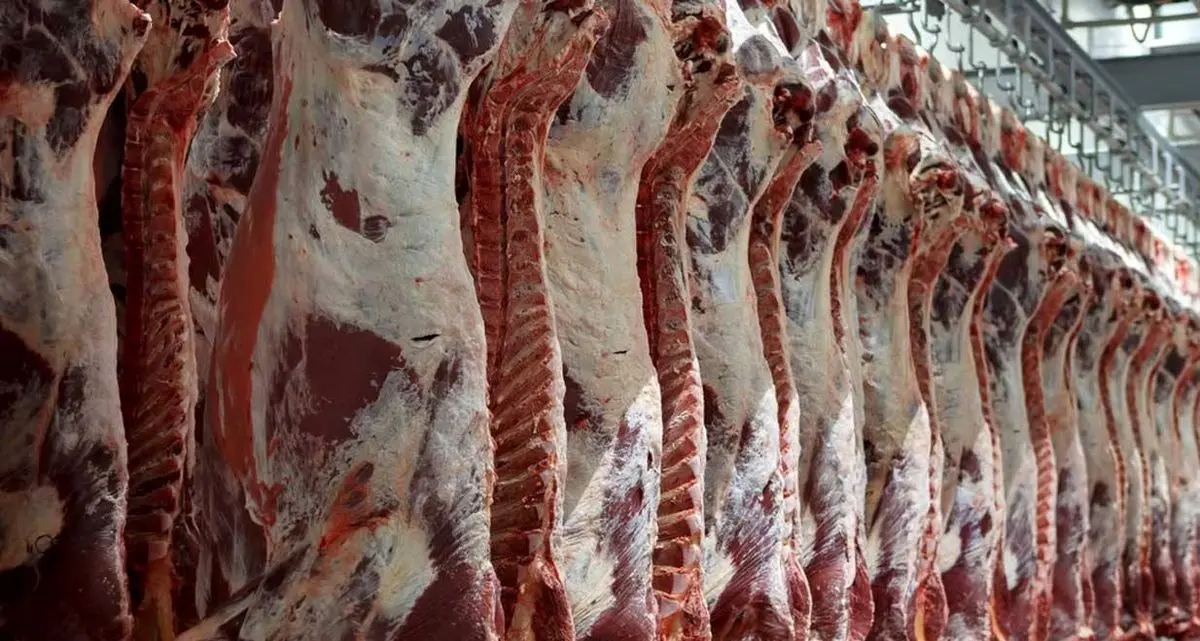 افزایش مجدد قیمت گوشت قرمز | هر کیلو گوشت ۴۵۰ هزار تومان