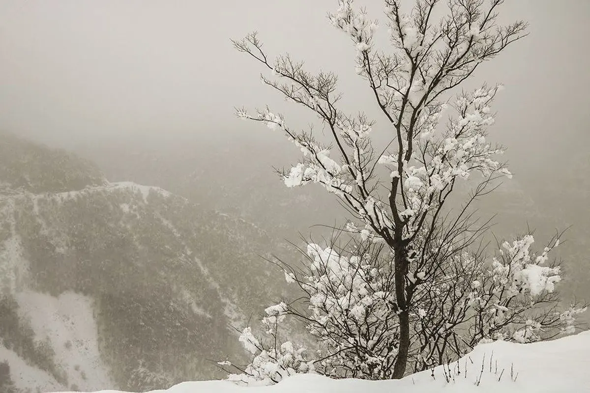 ماهواره‌های اروپایی: روزهای پربرف ایران در راه است+ عکس | سامانه پرفشار زمستانی در این تاریخ وارد می‌شود