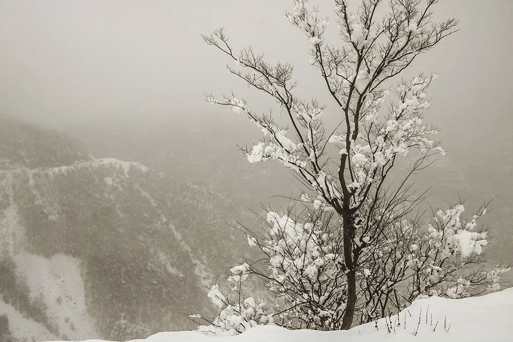 ماهواره‌های اروپایی: روزهای پربرف ایران در راه است+ عکس | سامانه پرفشار زمستانی در این تاریخ وارد می‌شود