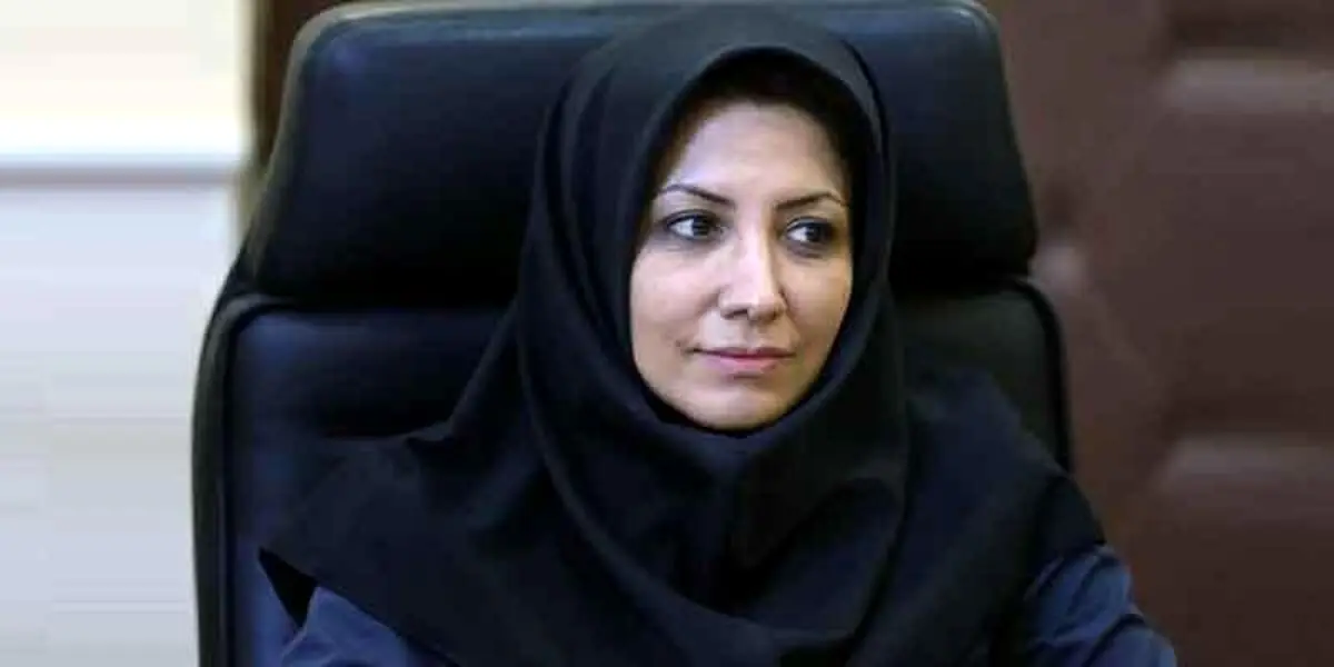 پنل کاربری پیامکهای تبلیغاتی به هر مشترک موبایل اختصاص می‌یابد