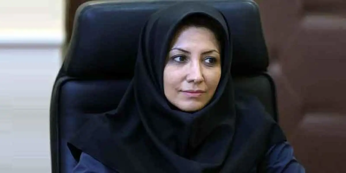 پنل کاربری پیامکهای تبلیغاتی به هر مشترک موبایل اختصاص می‌یابد