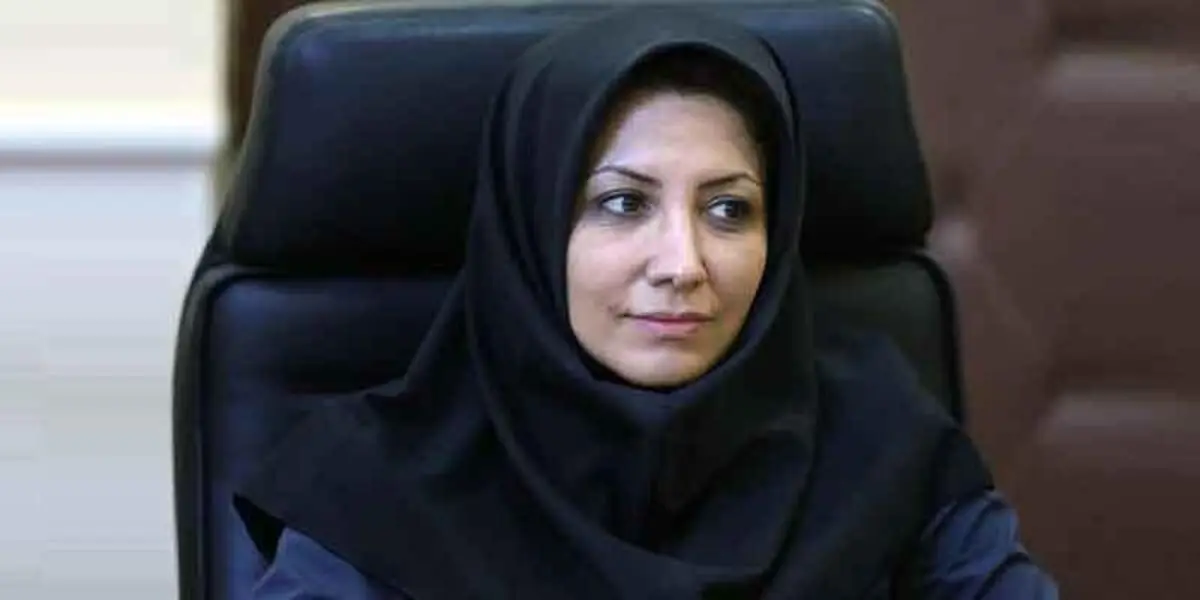 پنل کاربری پیامکهای تبلیغاتی به هر مشترک موبایل اختصاص می‌یابد