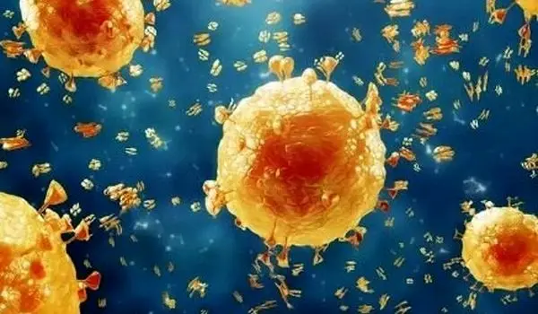 سویه «سیکادا» کرونا خطرناک است؟