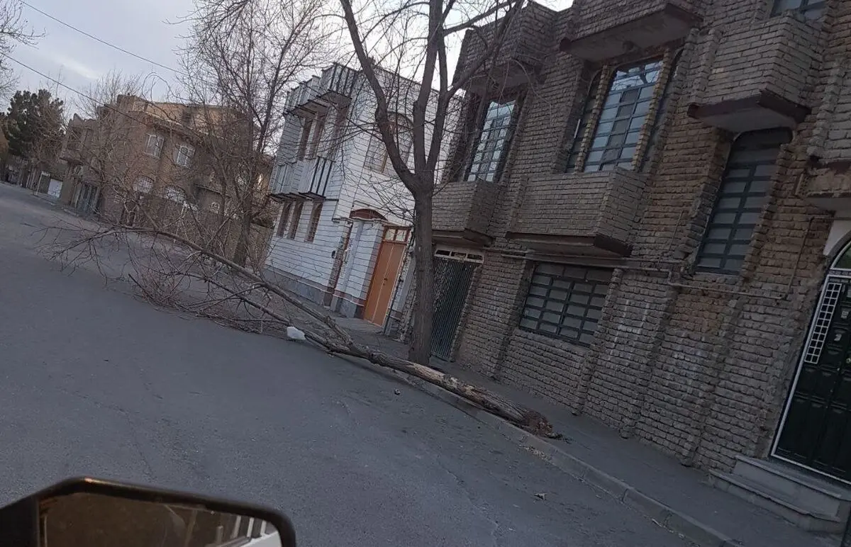  وزش باد شدید و تندباد در پایتخت