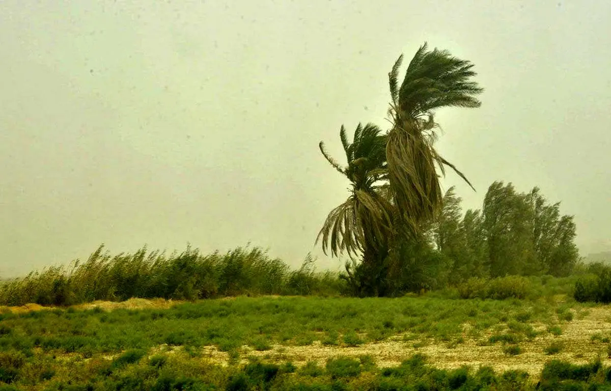 طوفان ده ها نفر را روانه بیمارستان کرد