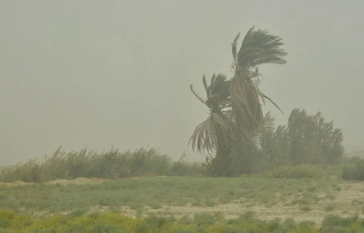 طوفان ده ها نفر را روانه بیمارستان کرد