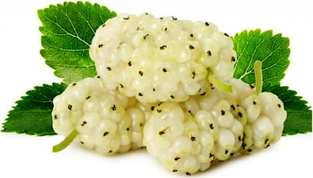 با این میوه بدن خود را سم‌زدایی کنید