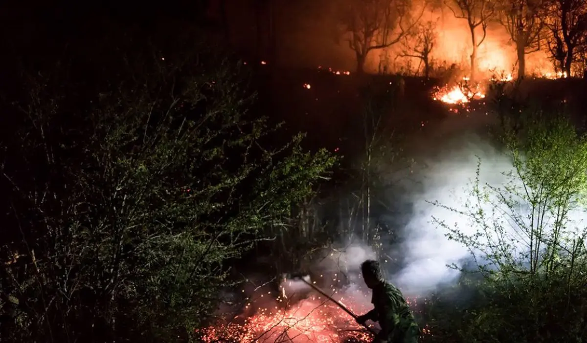 آتش به جان جنگل‌ های لنگرود افتاد | رسانه خبری اینتیتر