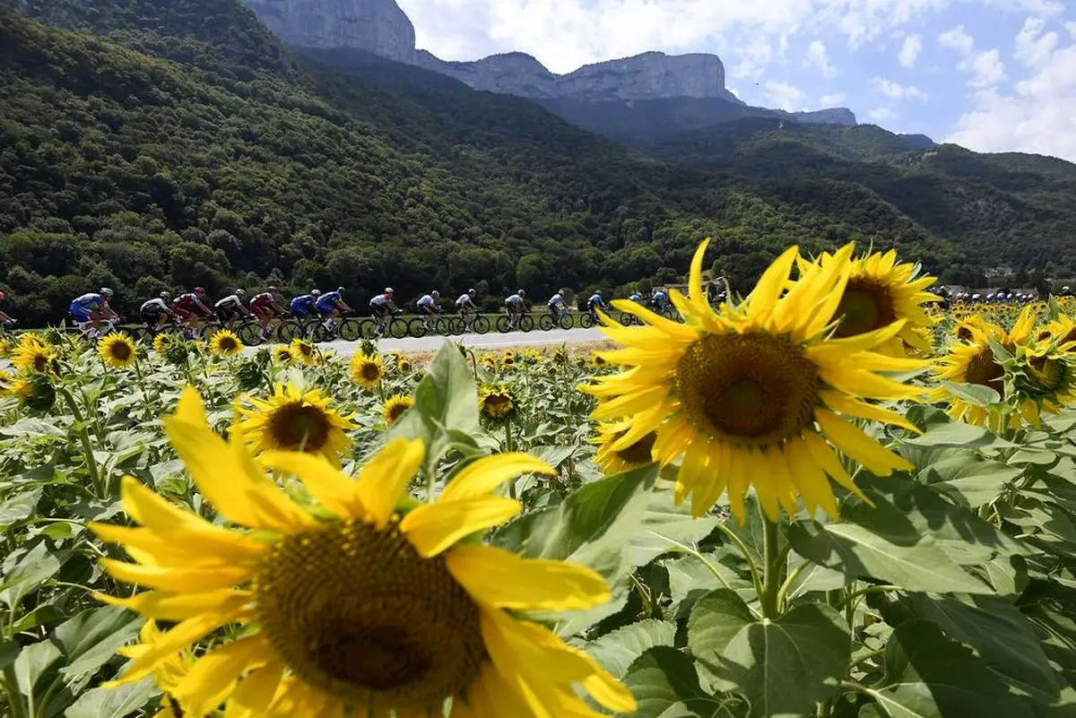 مسابقات دوچرخه سواری تور دوفرانس + تصویر