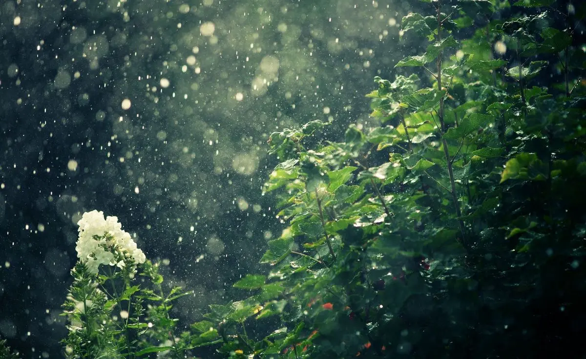 سازمان هواشناسی هشدار داد