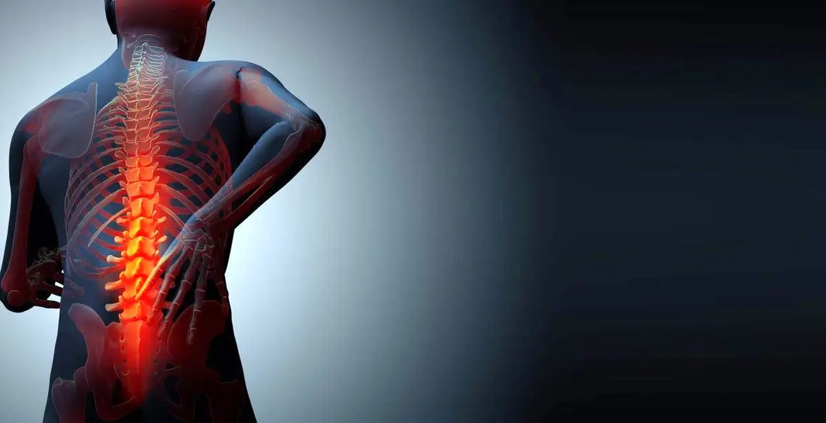 اینگونه به جنگ پوکی استخوان برویم