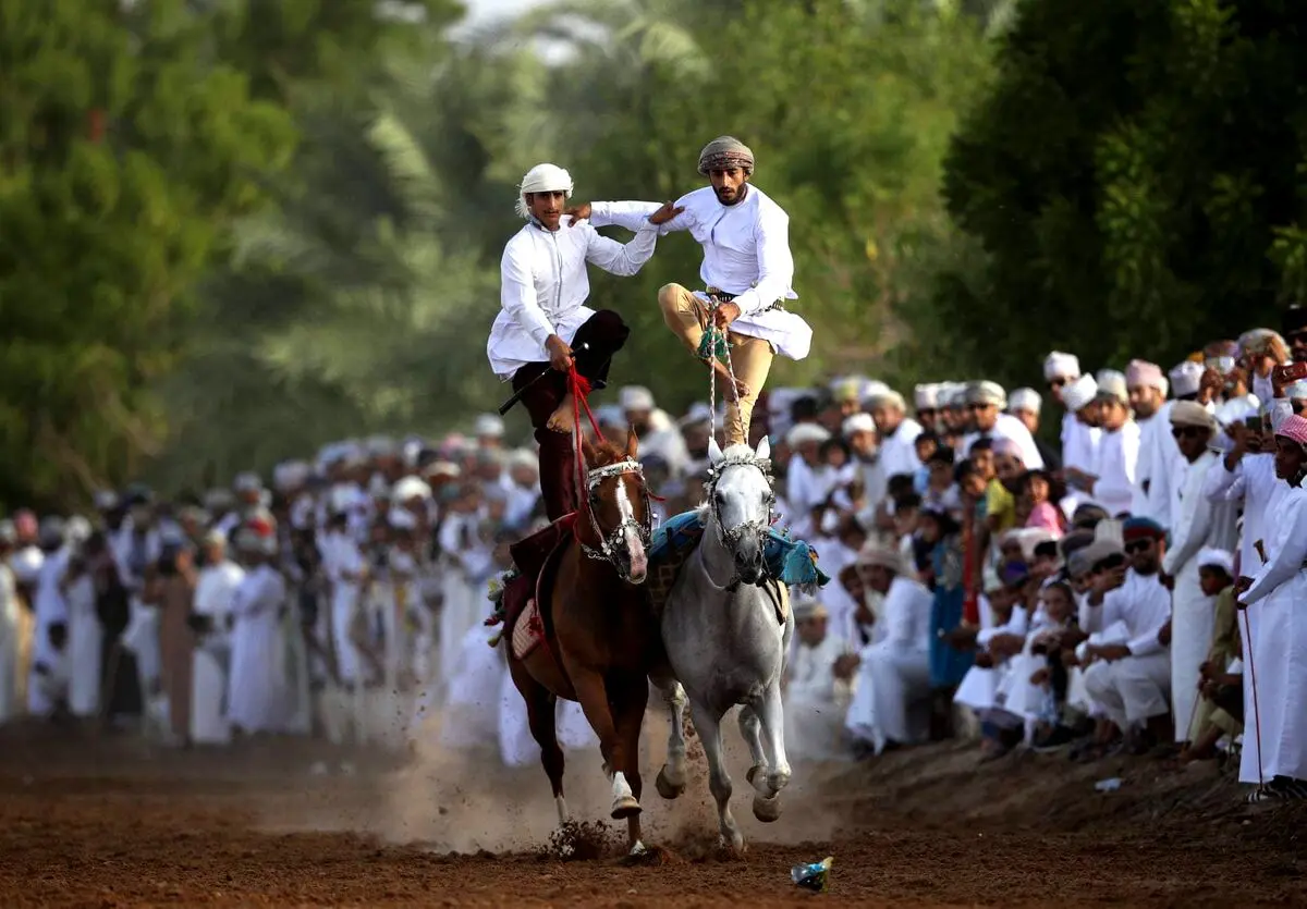 جشنواره سنتی اسب سواری در اردن + تصویر