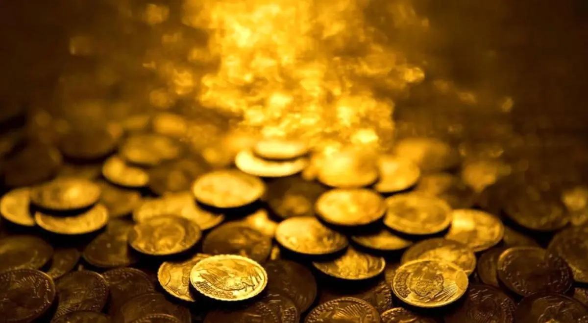 توضیحات سخنگوی قوه قضاییه از نوسانات بازار ارز و سکه