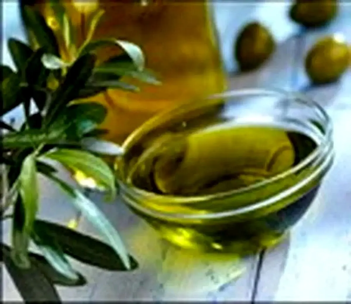 آشنایی با ۵ ضرر روغن زیتون!