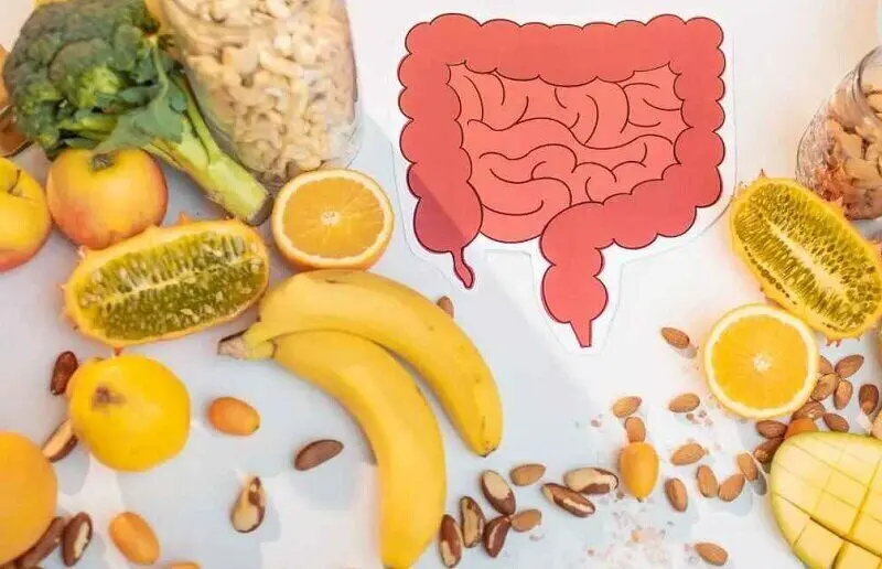 برای سلامت روده چی بخوریم؟ | ۱۵ انتخاب گیاهی مفید برای سلامت روده