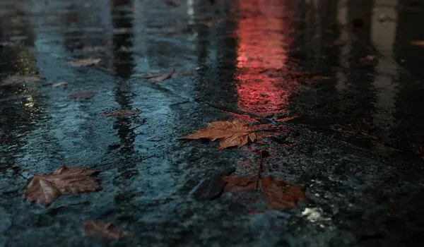 وضعیت هوای فردا مشهد سه شنبه ۳ شهریور ۱۴۰۵ | پیش بینی آب و هوا مشهد در ۲۴ ساعت آینده + هواشناسی مشهد