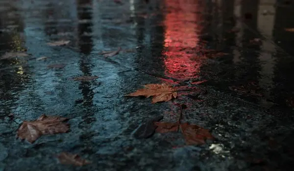 وضعیت آب و هوای گیلان، گلستان و مازندران چهارشنبه ۱۴ مرداد ۱۴۰۵ | افزایش دما در شمال کشور