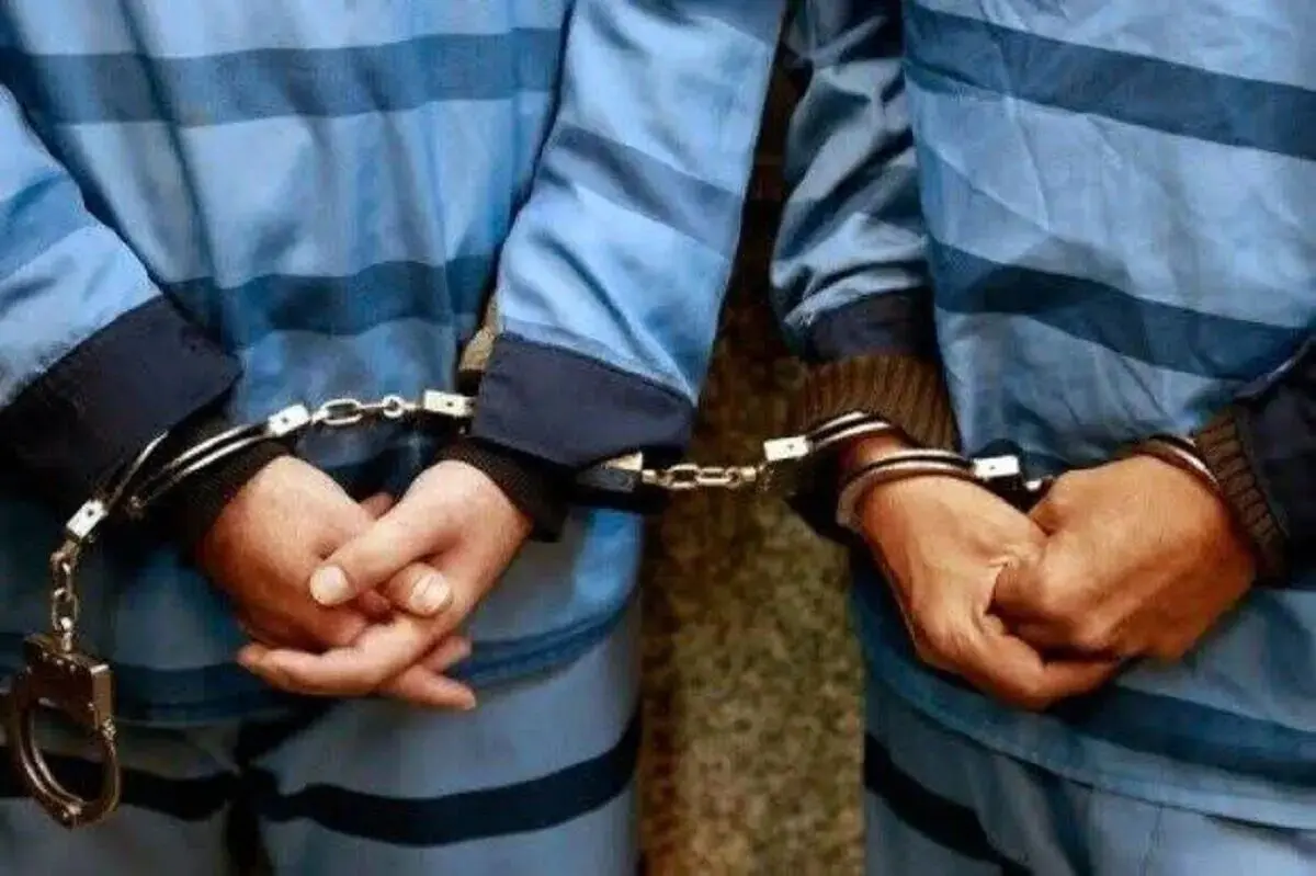 زورگیر پارک دانشجو دستگیر شد