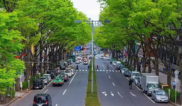 ژاپنی‌ها چه خودرویی سوار می‌شوند؟ | جای این خودروی لوکس در خیابان‌های ژاپن خالی است