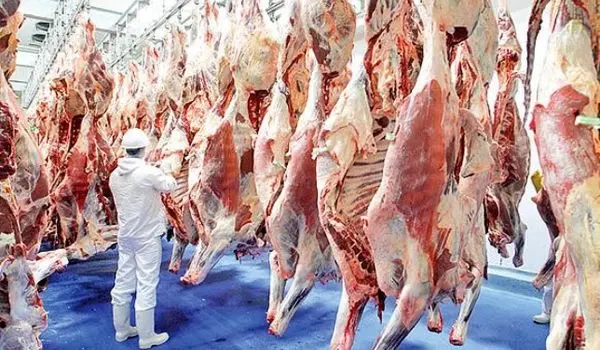 قیمت گوشت گوسفندی امروز ۱۷ تیر ۱۴۰۳ | گوشت چقدر شد؟