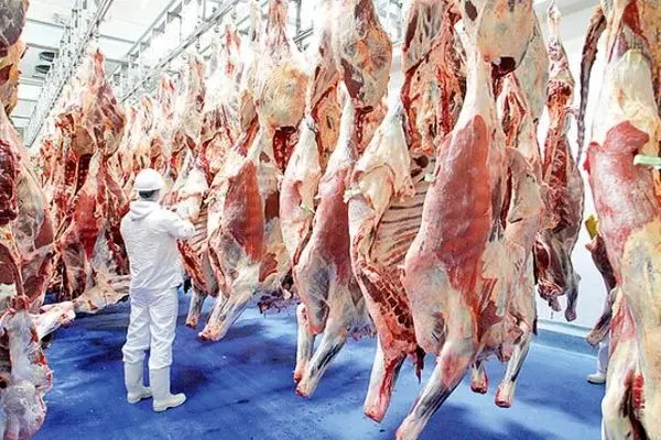 قیمت گوشت گوسفندی امروز ۱۷ تیر ۱۴۰۳ | گوشت چقدر شد؟