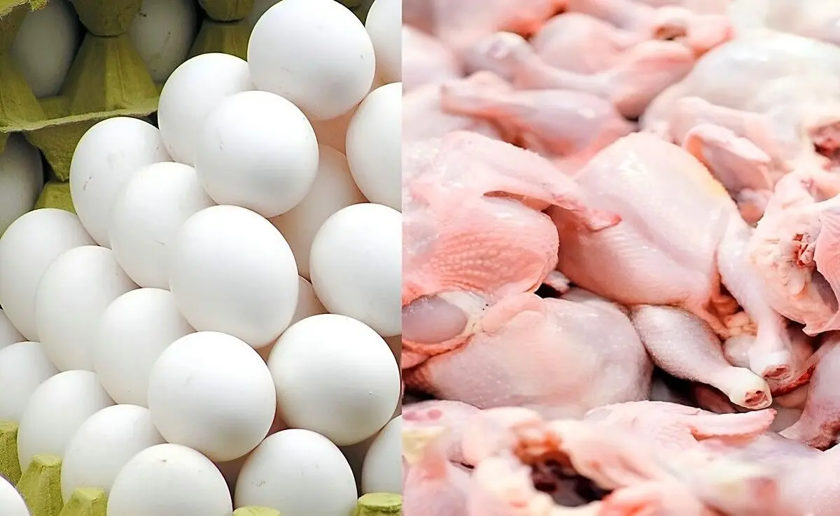 قیمت مرغ و تخم مرغ امروز چهارشنبه ۲۷ خرداد ۱۴۰۵