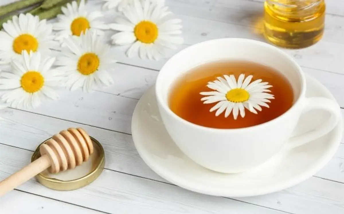 دمنوش بابونه برای چی خوبه؟ + خواص دمنوس بابونه برای زنان و مردان