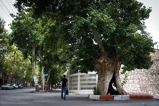 اطلاعات تازه و متفاوت از آزمایش موشکی جمعه در شاهرود