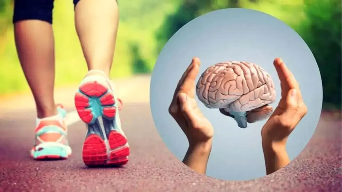 زوال عقل در کمین است؛ اگر... | داستان یک تحقیق طولانی 