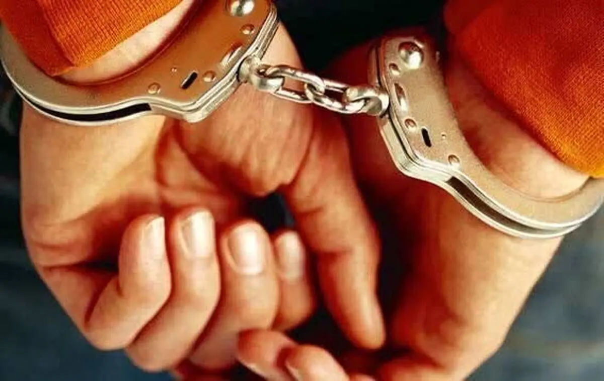 پلیس: سرشبکه سلطنت‌طلب مرتبط با خارج از کشور دستگیر شد