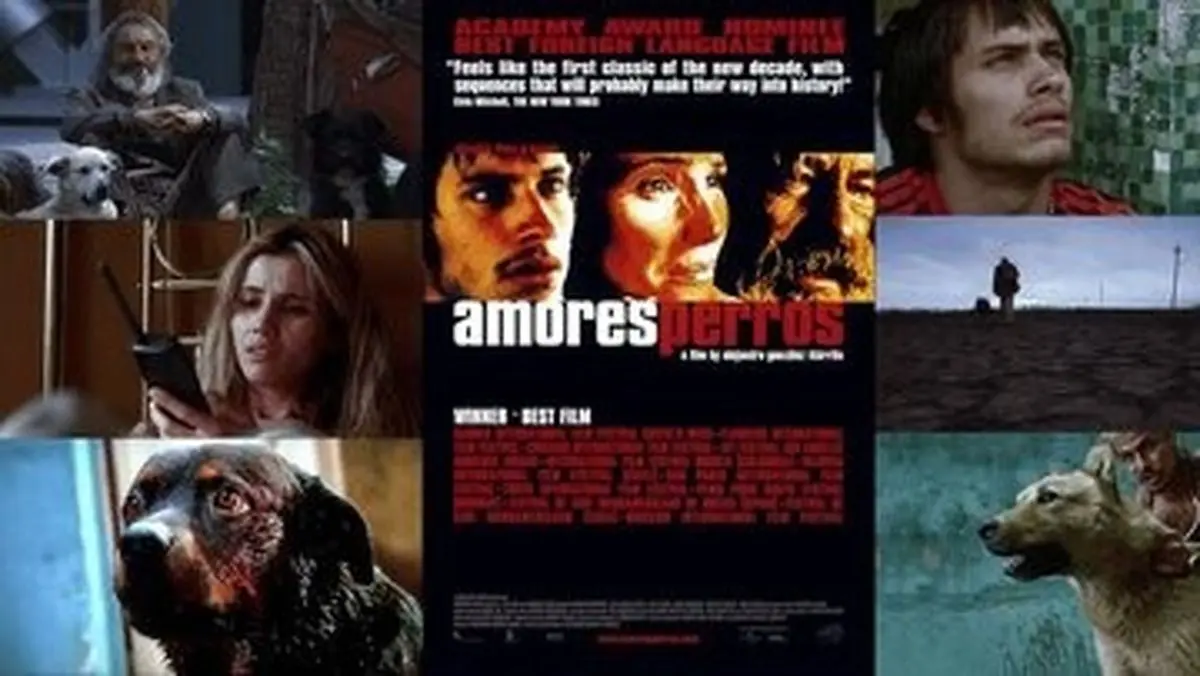 «عشقِ سگی» دوباره زنده شد