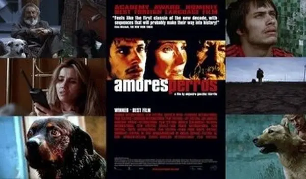 «عشقِ سگی» دوباره زنده شد