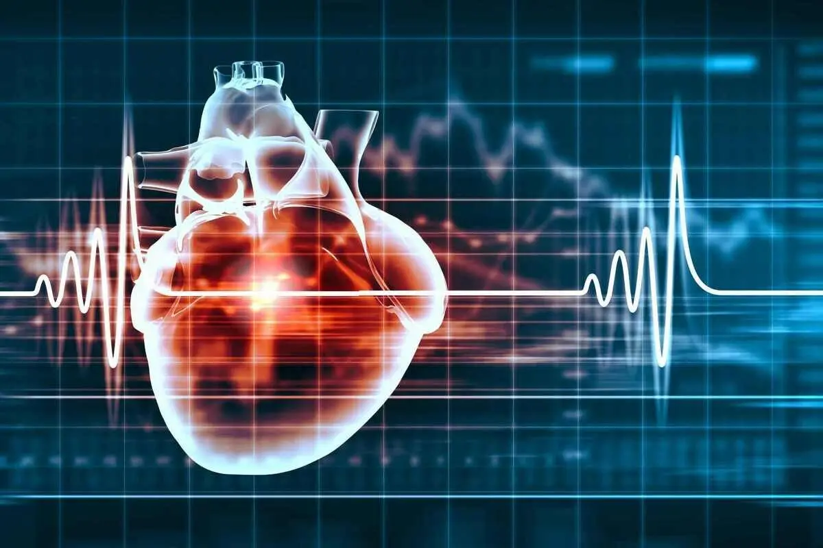آیا تپش کند قلب باعث طول عمر می‌شود؟!