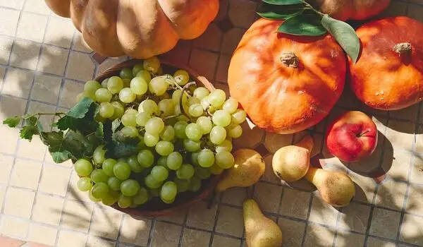 معجزه این خوراکی پاییزی برای سلامت هم‌زمان مغز، قلب و روده